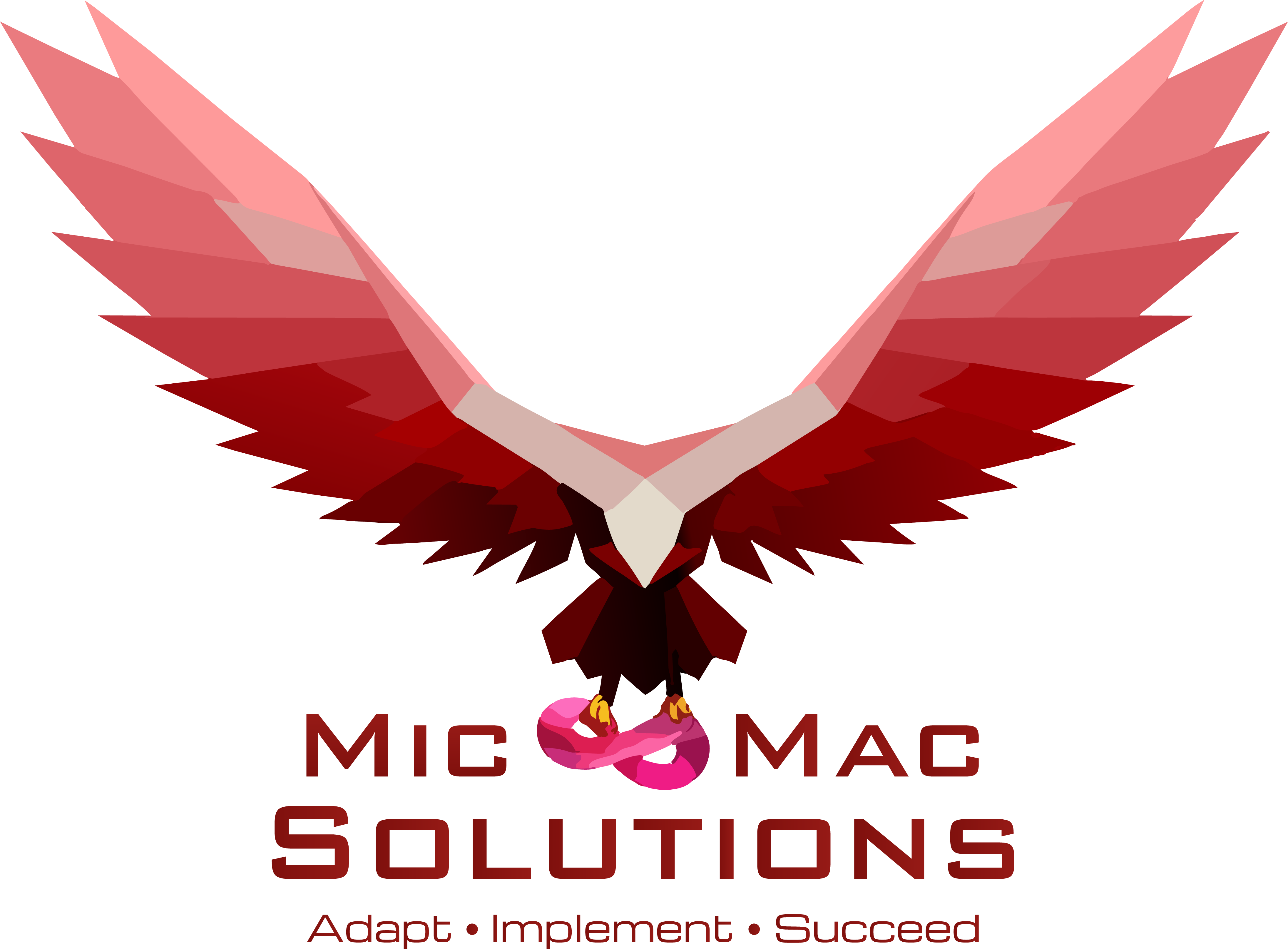 Mic & Mac Solutions